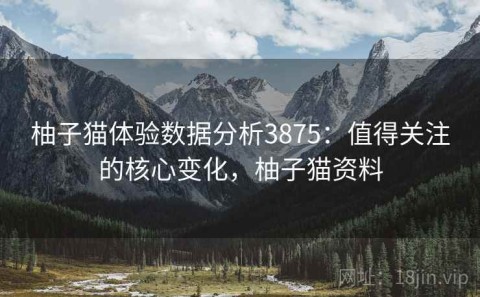 柚子猫体验数据分析3875：值得关注的核心变化，柚子猫资料