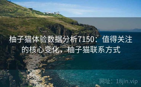 柚子猫体验数据分析7150：值得关注的核心变化，柚子猫联系方式