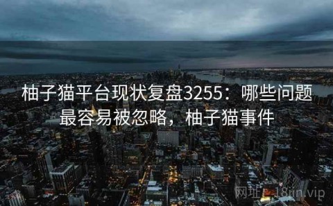 柚子猫平台现状复盘3255：哪些问题最容易被忽略，柚子猫事件