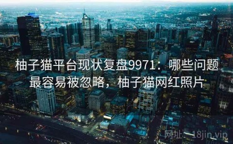 柚子猫平台现状复盘9971：哪些问题最容易被忽略，柚子猫网红照片