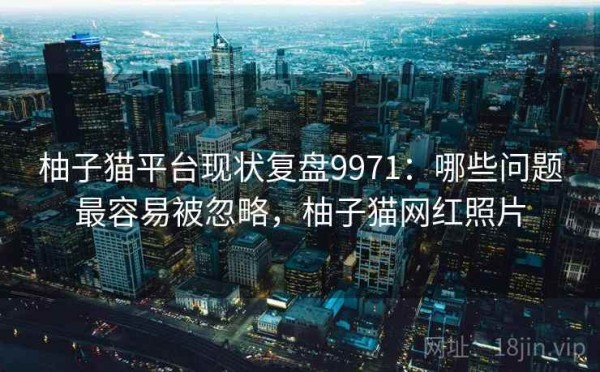 柚子猫平台现状复盘9971：哪些问题最容易被忽略，柚子猫网红照片