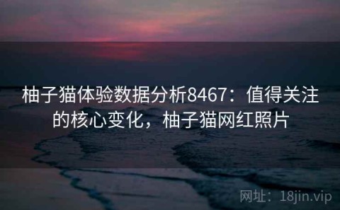 柚子猫体验数据分析8467：值得关注的核心变化，柚子猫网红照片