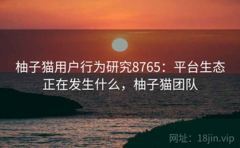 柚子猫用户行为研究8765：平台生态正在发生什么，柚子猫团队