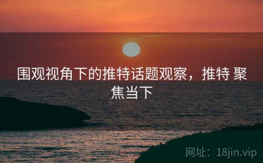 围观视角下的推特话题观察，推特 聚焦当下