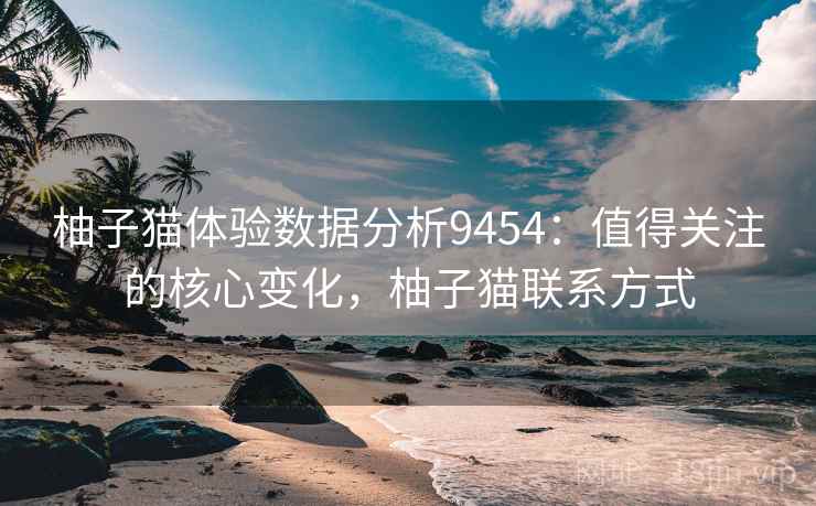 柚子猫体验数据分析9454：值得关注的核心变化，柚子猫联系方式