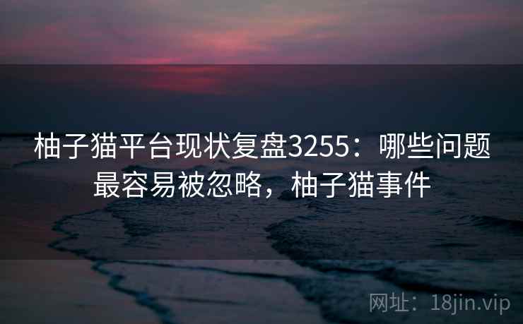 柚子猫平台现状复盘3255：哪些问题最容易被忽略，柚子猫事件