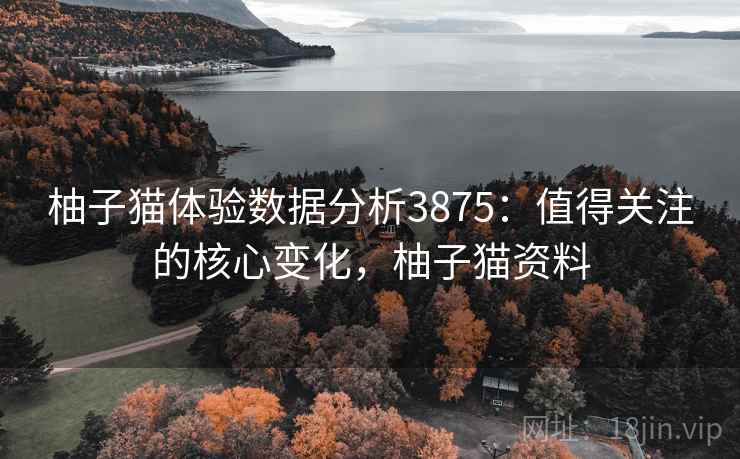 柚子猫体验数据分析3875：值得关注的核心变化，柚子猫资料