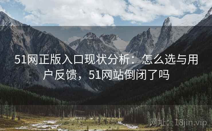 51网正版入口现状分析：怎么选与用户反馈，51网站倒闭了吗
