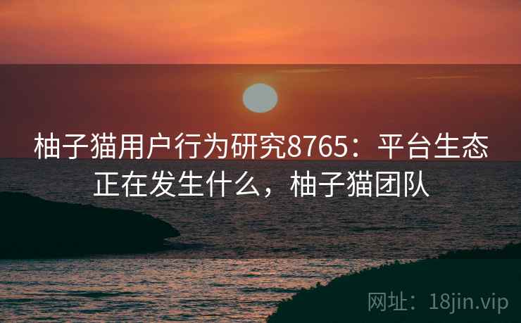 柚子猫用户行为研究8765：平台生态正在发生什么，柚子猫团队