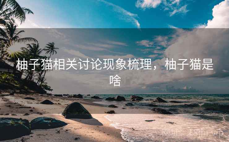柚子猫相关讨论现象梳理，柚子猫是啥
