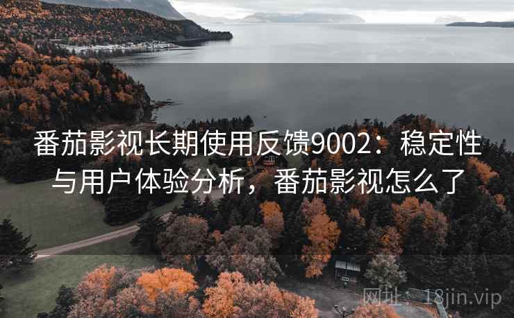番茄影视长期使用反馈9002：稳定性与用户体验分析，番茄影视怎么了